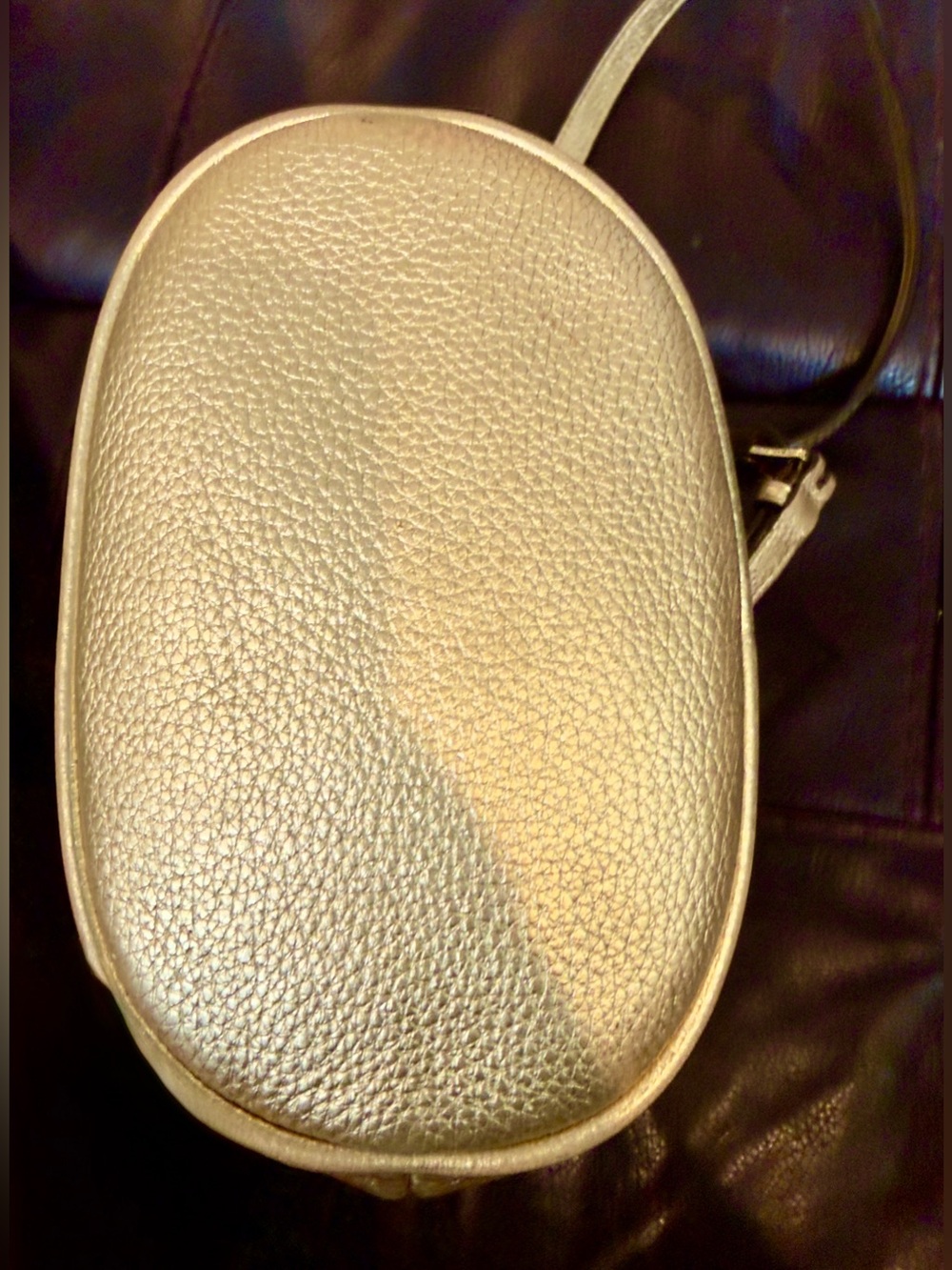 Mini Michael Kors Metallic Gold Leather Bucket Crossbody Bag “Frankie” w/Dusty - Picture 8 of 11